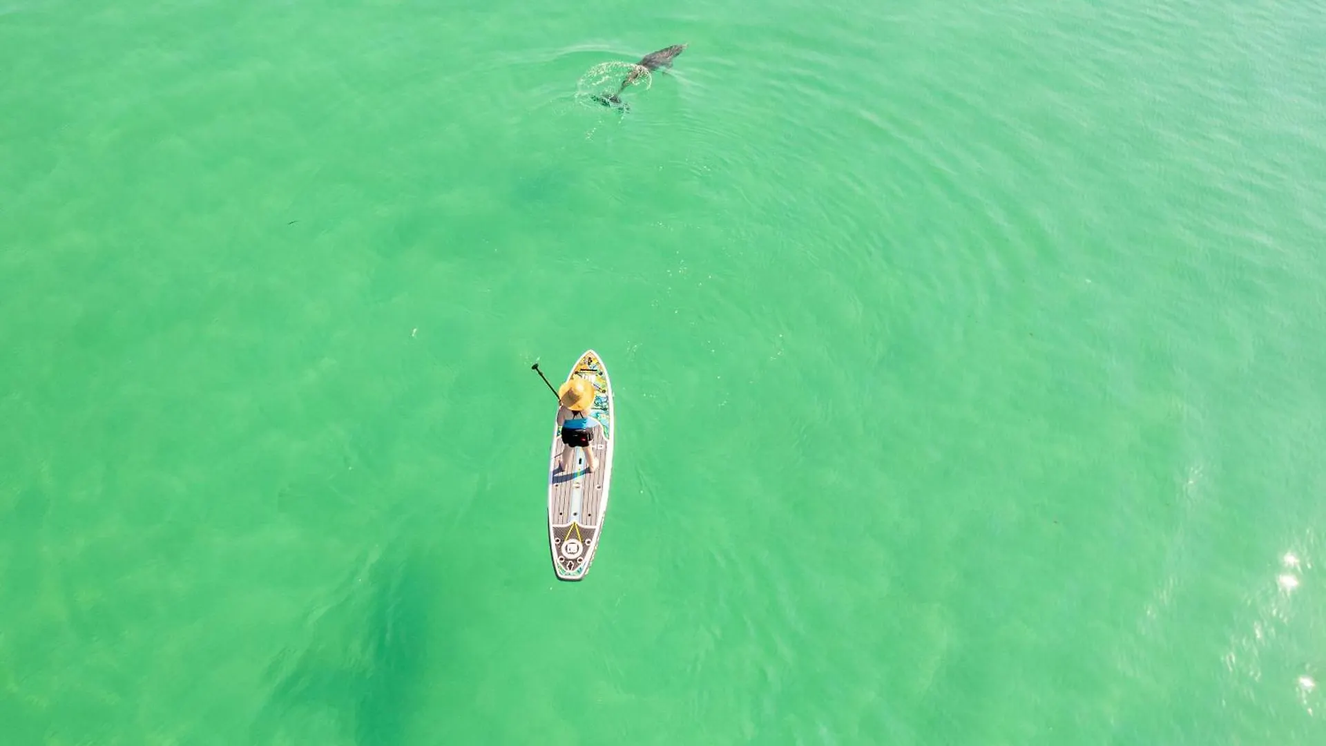 Apartment Inlet Reef 212- By Holiday Isle Properties Destin
